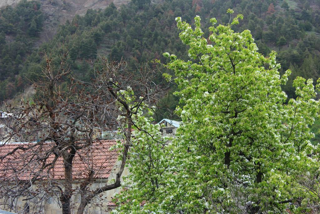تبليسي Old District Guest House المظهر الخارجي الصورة