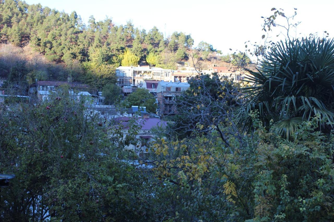 تبليسي Old District Guest House المظهر الخارجي الصورة